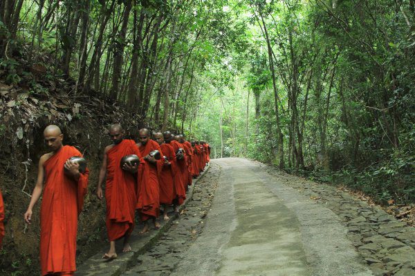 Monks Practice Walking Meditation