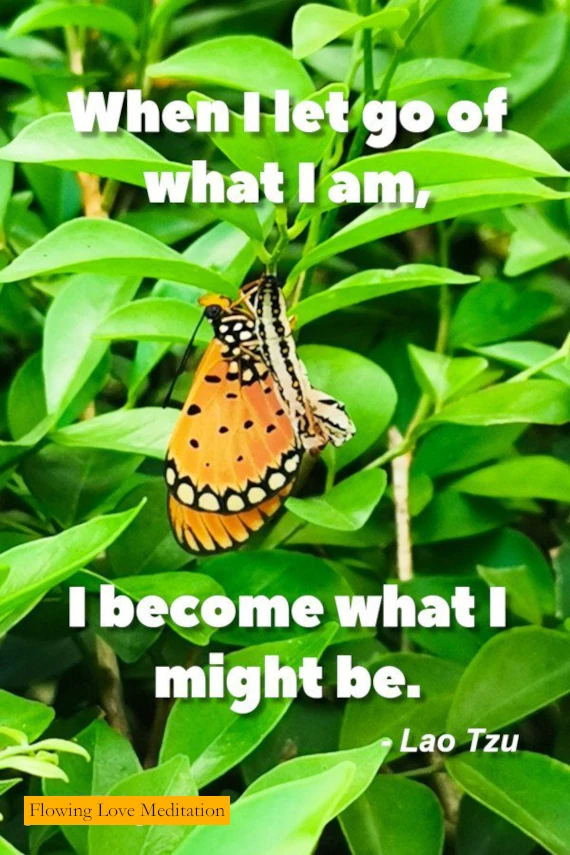 Inspirational Quote by Lao Tzu - When I Let Go Of What I Am, I Become What I Might Be