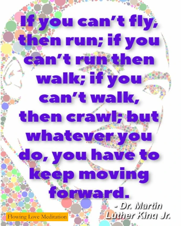 Motivational Quote By Dr. Martin Luther King Jr. - If you can't fly, then run; if you can't run then walk; if you can't walk, then crawl; but whatever you do, you have to keep moving forward