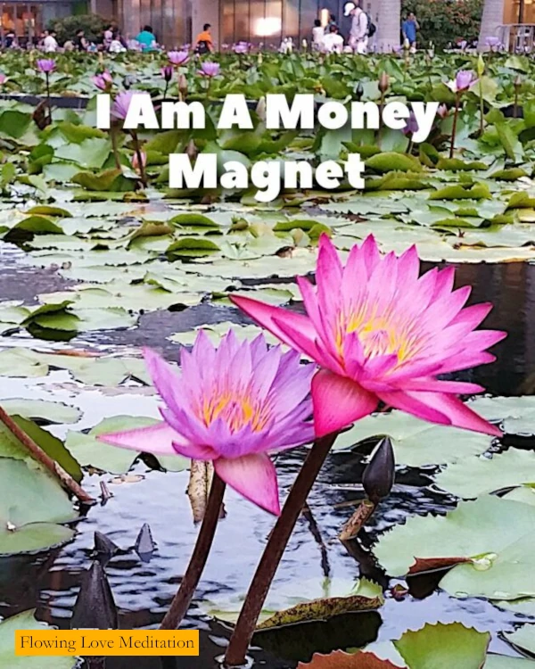 Affirmation - I Am A Money Magnet