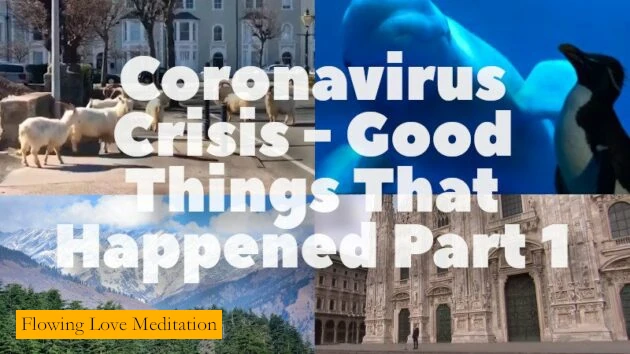 Coronavirus Crisis - Good Things That Happened - Part 1