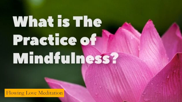 What is The Practice of Mindfulness?